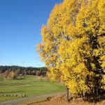 Chalmers Golfklubb