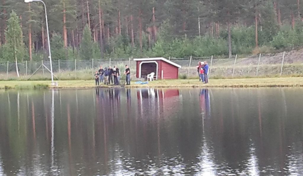 fromhedens camping