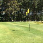 degeberga-widtsköfle golfklubb