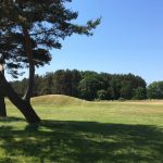 degeberga-widtsköfle golfklubb